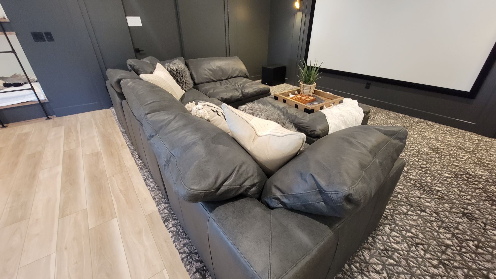 Theater Room