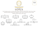 Lotus Schematic.png