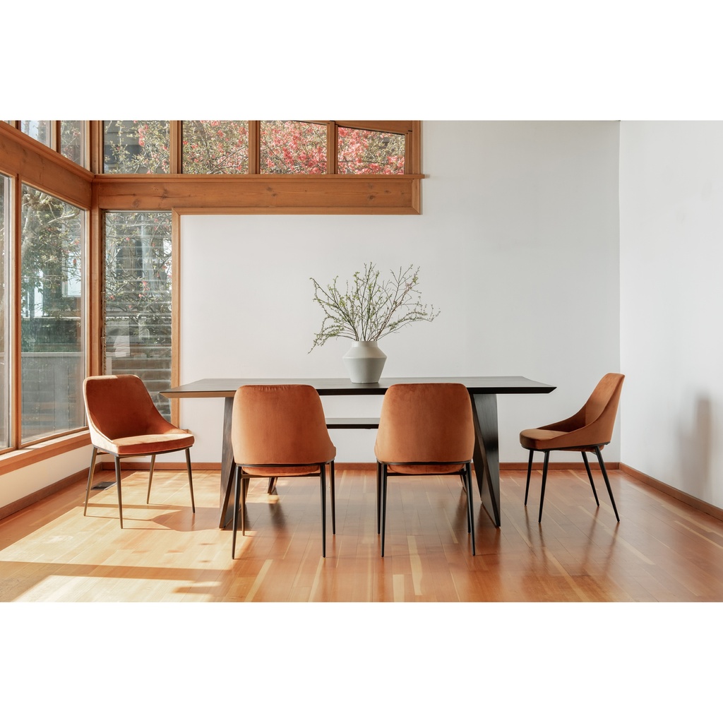 Sedona Dining Chair Amber - Set Of Two - 11