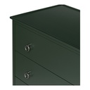 Reagan 6 Drawer Dresser Deep Green - 5