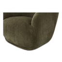 Stevie Lounge Chair Cedar Green - 5
