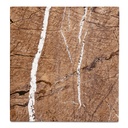 Blair Accent Table Golden Forest Marble - 3