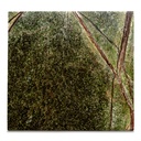 Blair Accent Table Rainforest Green Marble - 5