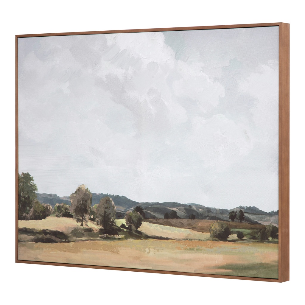 Vast Country Framed Painting - 1