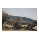 Vast Country Framed Painting - 2