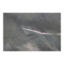 Impression Framed Painting Verdant Palette - 2