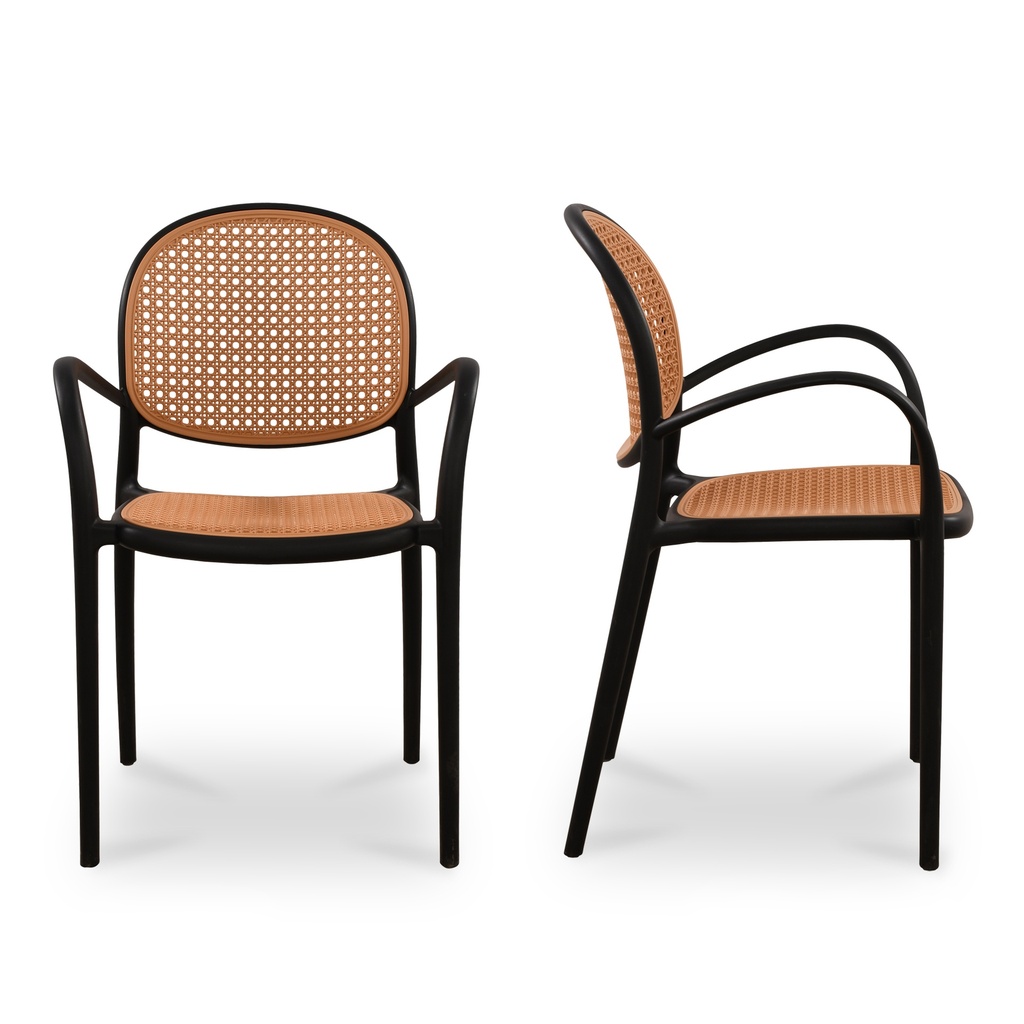 Soren Outdoor Dining Chair Black-Set of Two - 2