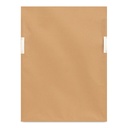 Ash Framed Print - 2