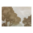 Ash Framed Print - 3