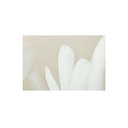 Chorus 1 Framed Painting - 3