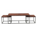Aster 47" Nesting Coffee Tables in Sunburst Brownstone