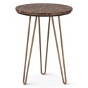 Calico 17" Side Table in Tiger Eye with Iron Base