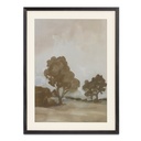Ash Framed Print