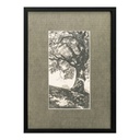 Arise Framed Print